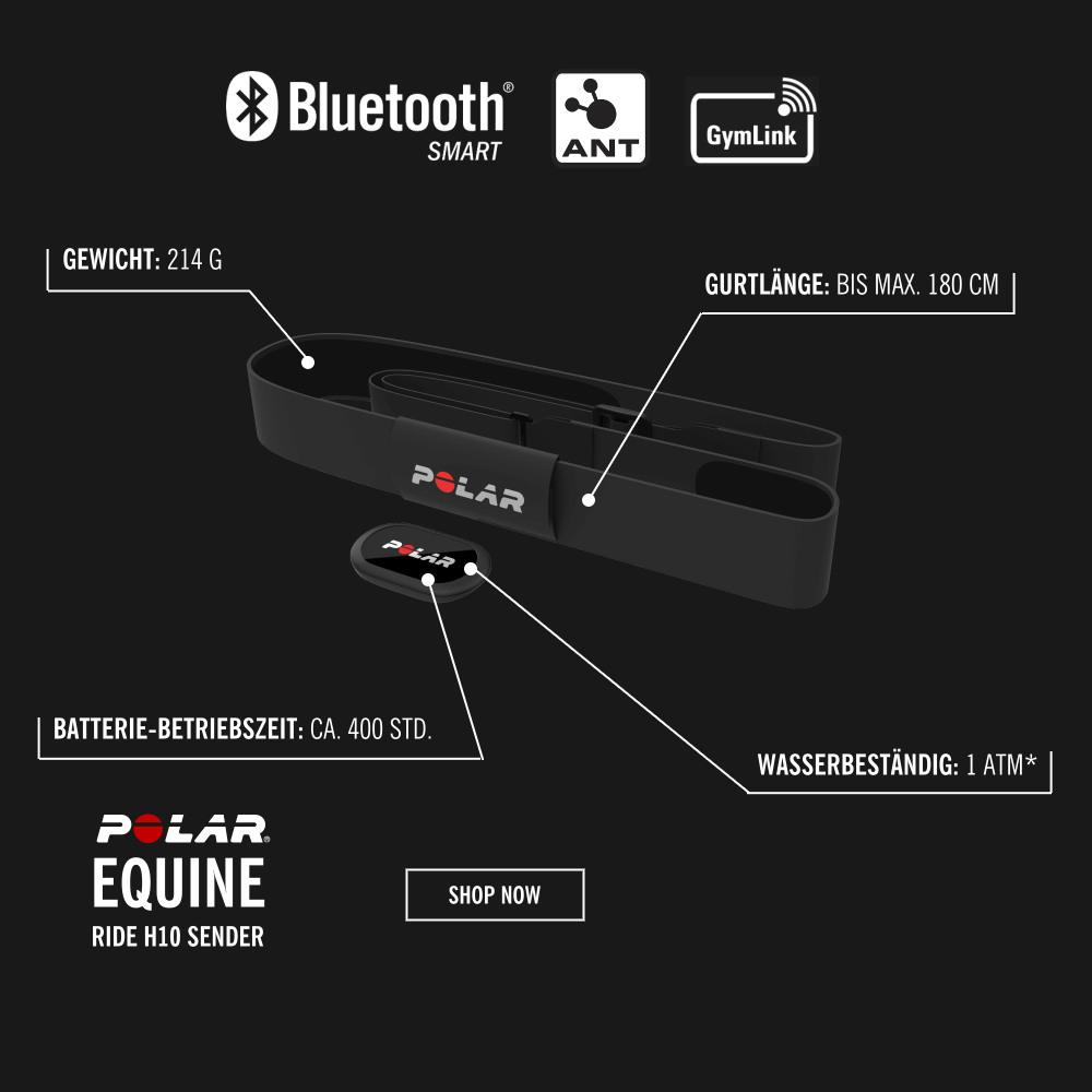 POLAR Equine H10 Bluetooth Smart Sender mit Sattel-Elektroden für Distanzreiten, Vielseitigkeit, Dressur- und Springreiten, Rennen bei CardioZone guenstig online kaufen