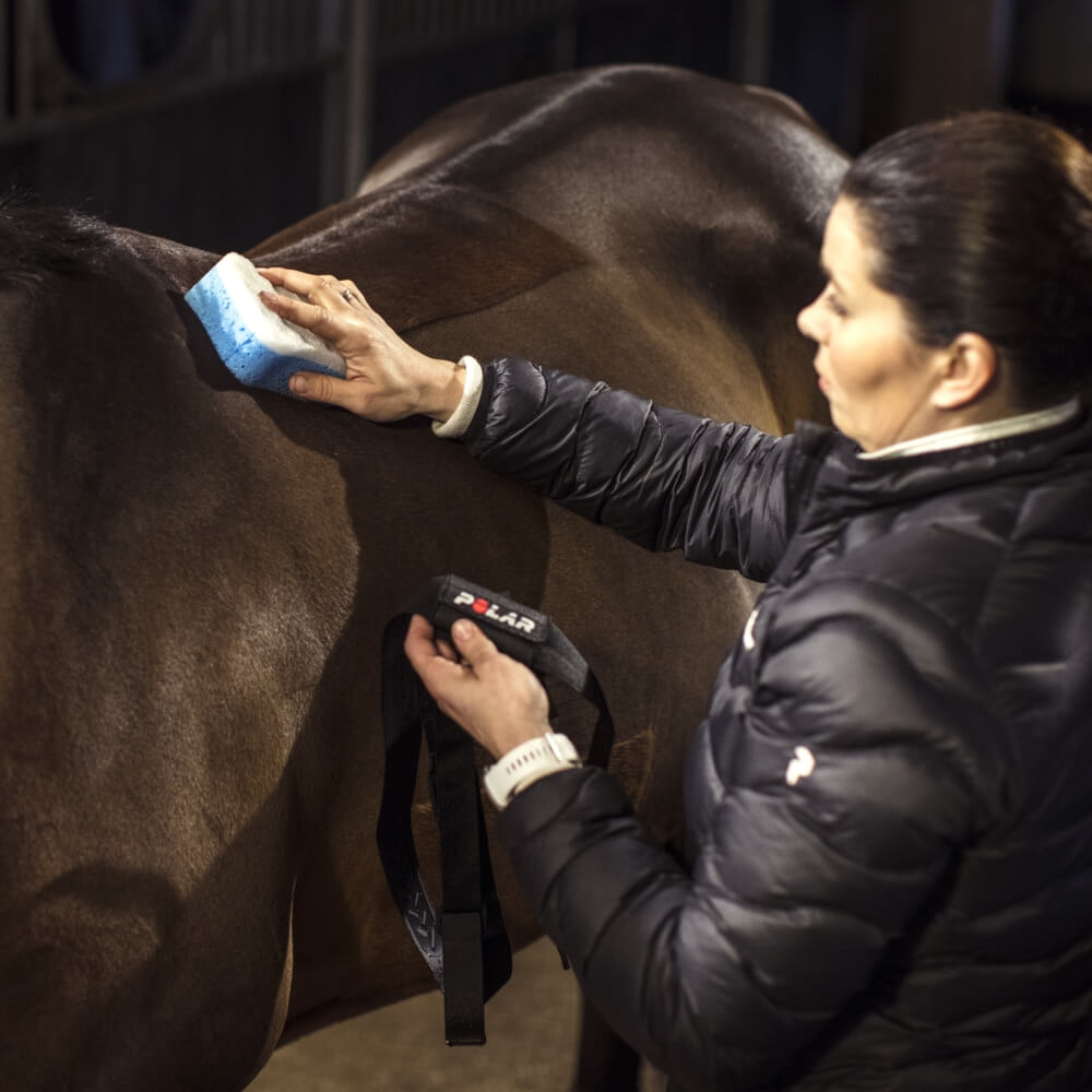 POLAR Equine Pacer Ride GPS Sportuhr Schwarz + H10 Sender für Reitsport bei CardioZone online kaufen