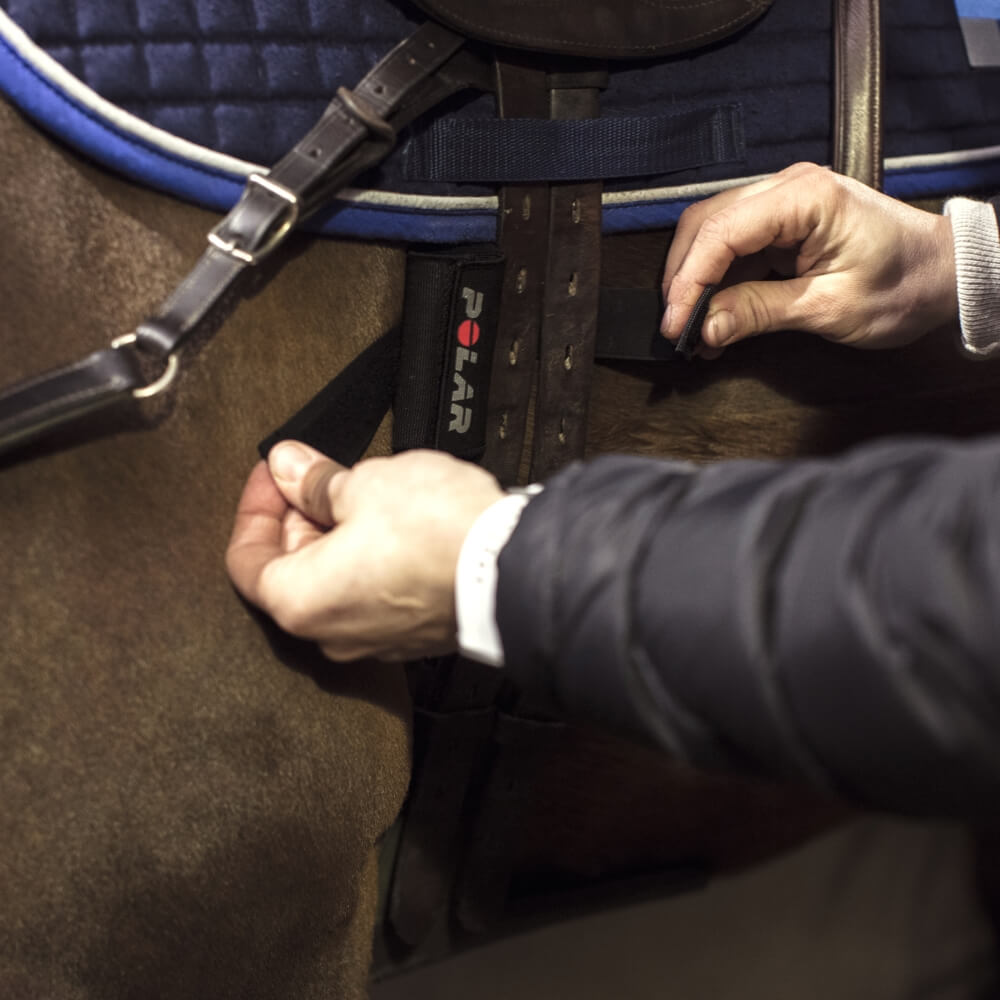 POLAR Equine Pacer Ride GPS Sportuhr Schwarz + H10 Sender für Reitsport bei CardioZone online kaufen