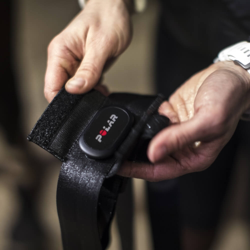 POLAR Equine Pacer Ride GPS Sportuhr Schwarz + H10 Sender für Reitsport bei CardioZone online kaufen