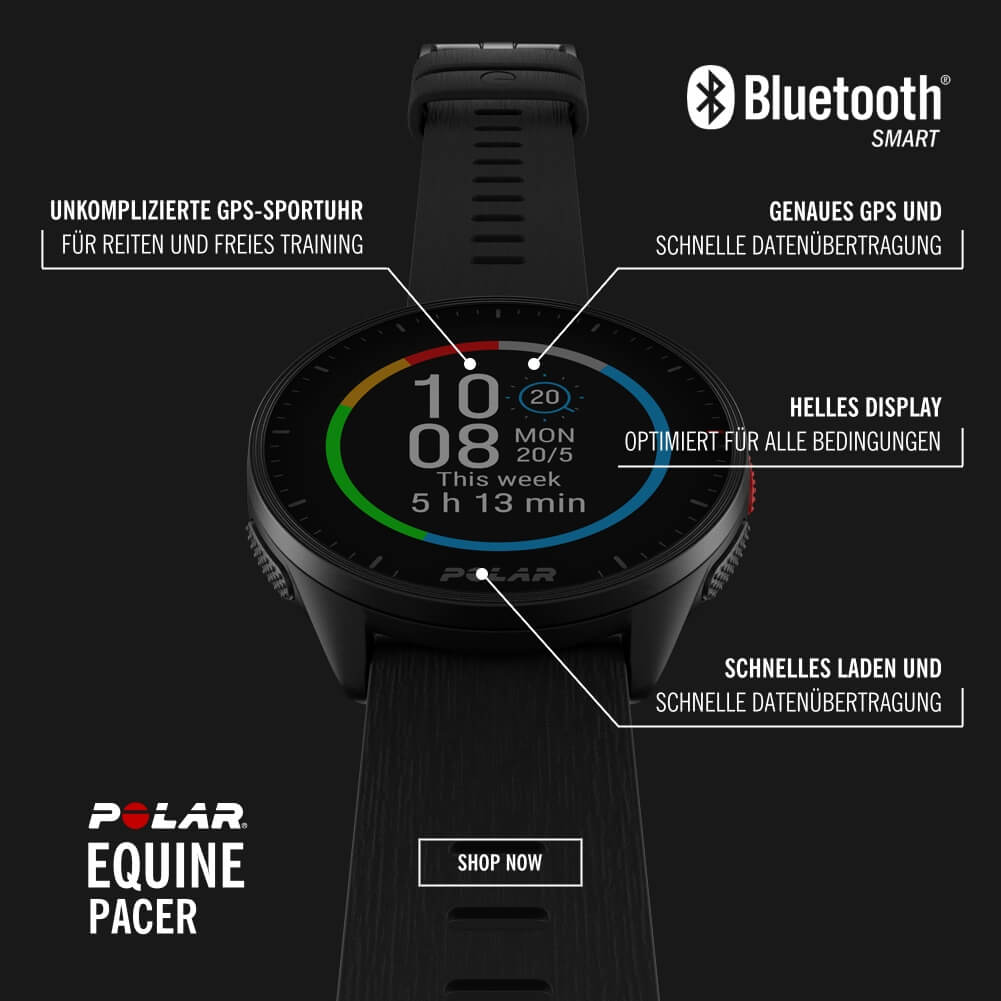 POLAR Equine Pacer Trotting GPS Sportuhr Schwarz + H10 Sender für freies Training & Fahrsport bei CardioZone online kaufen