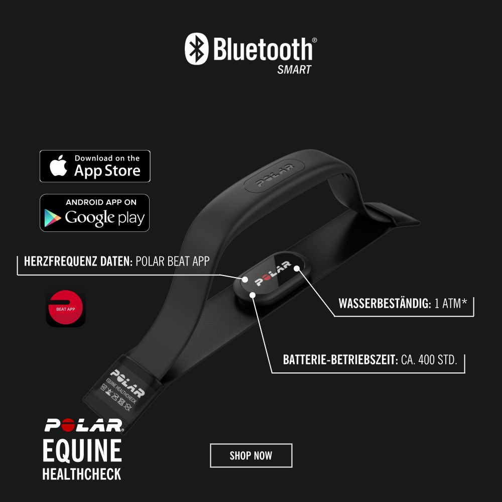 POLAR Equine Healthcheck mit H10 Sender - Herzfrequenz im Ruhezustand messen