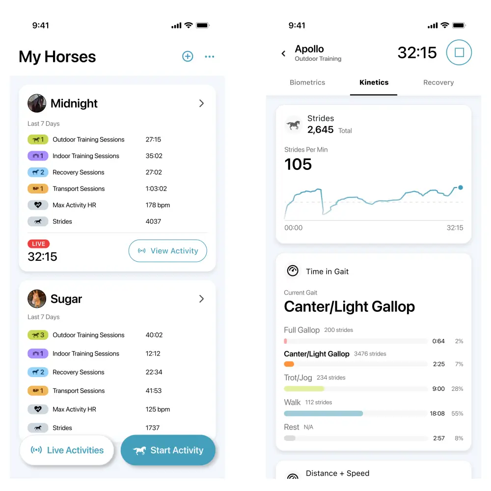 Garmin Blaze Equine Gesundheitstracker für Pferde