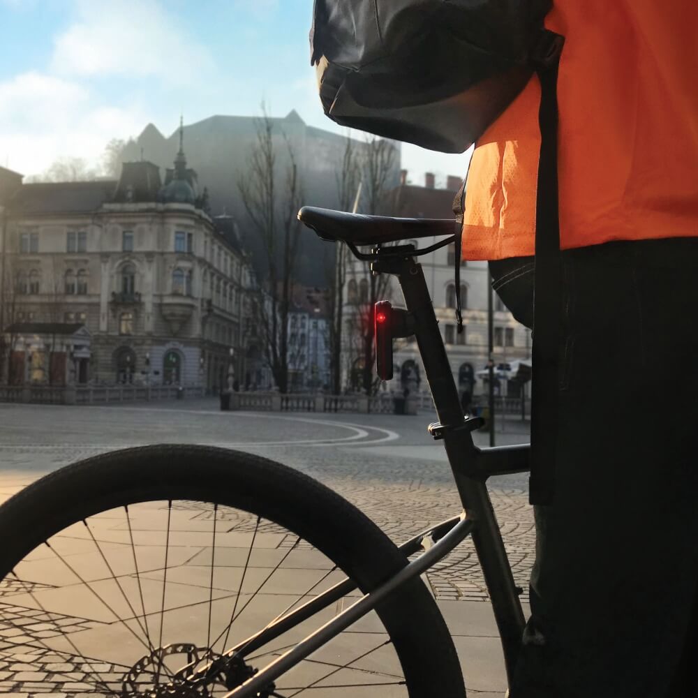 Garmin Varia Fahrrad Radar-Rücklicht RTL516 bei CardioZone günstig online kaufen