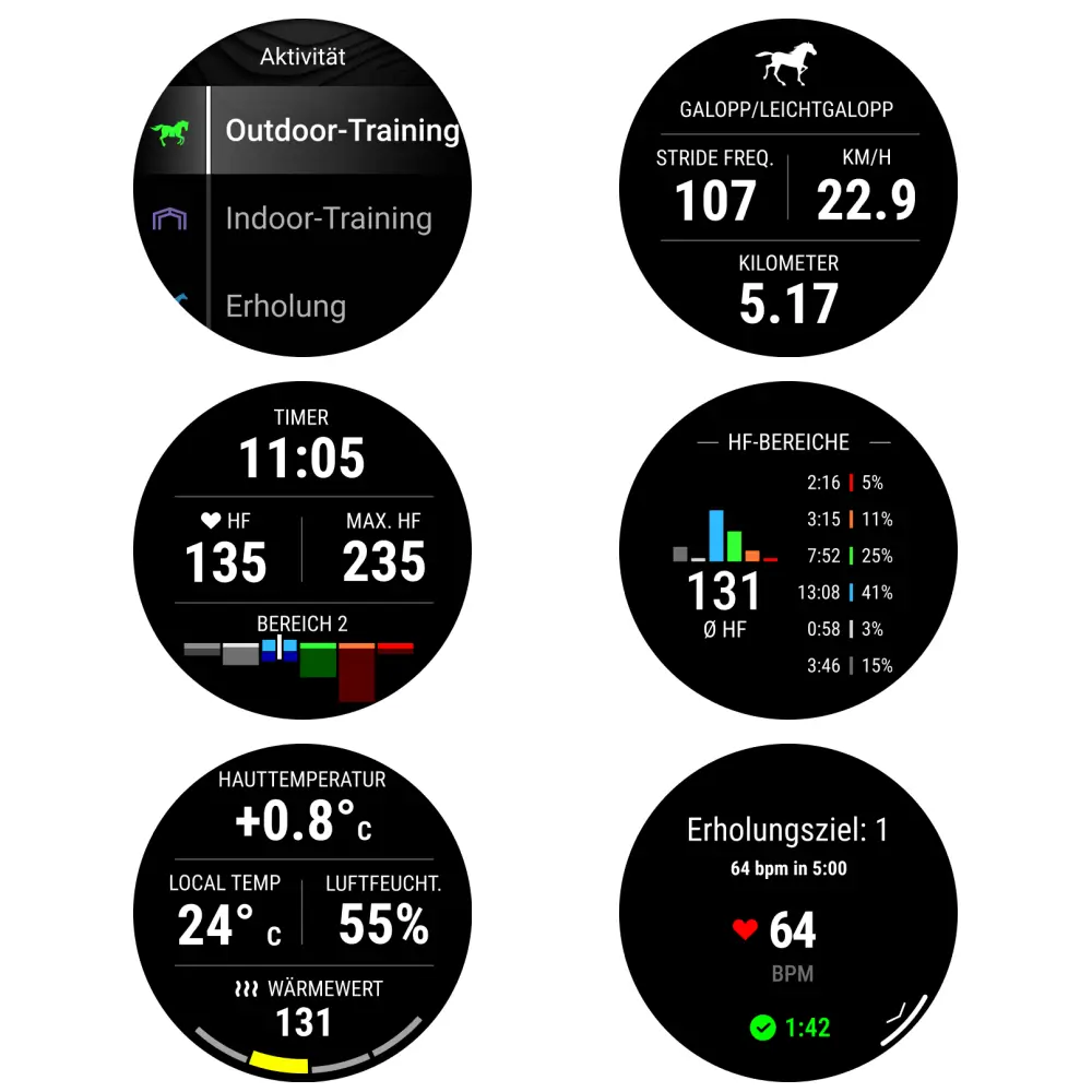 Garmin Blaze Equine Gesundheitstracker für Pferde