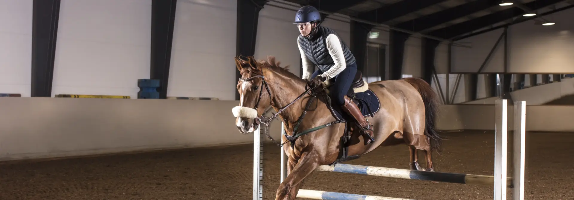 Equine Trainingssysteme