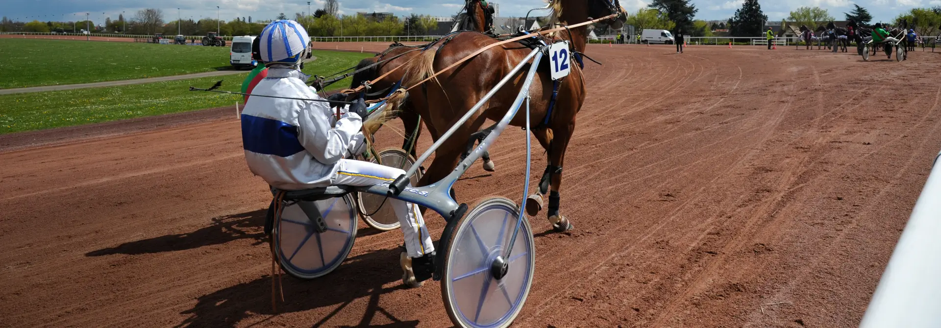 Equine Trainingssysteme für den Fahrsport