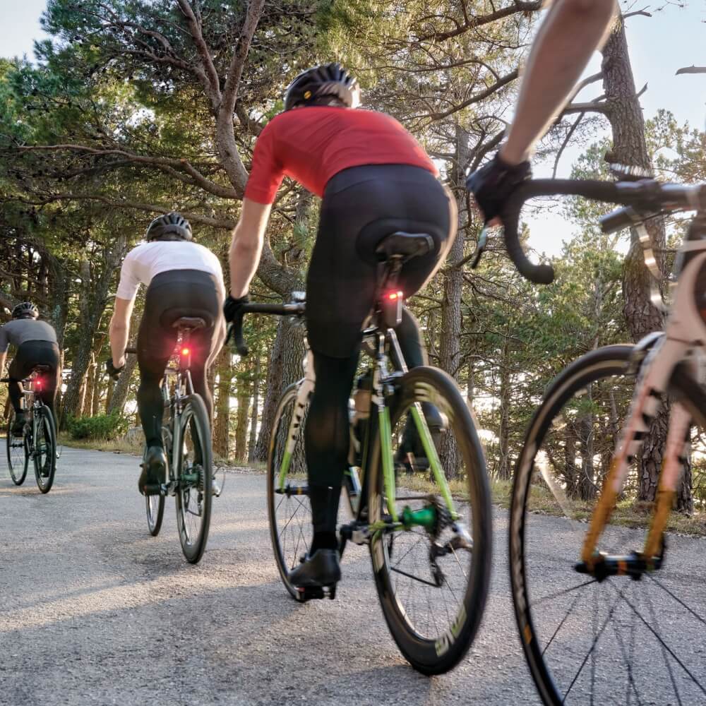 Garmin Varia Fahrrad Radar-Rücklicht RTL516 bei CardioZone günstig online kaufen